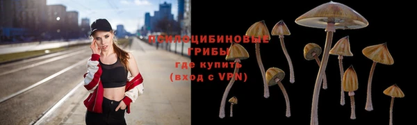2c-b Алзамай