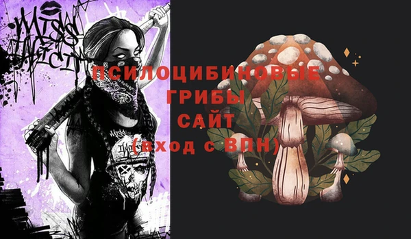 сатива Алексин