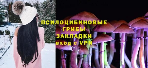 бошки Алексеевка
