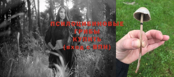 тгк Покров
