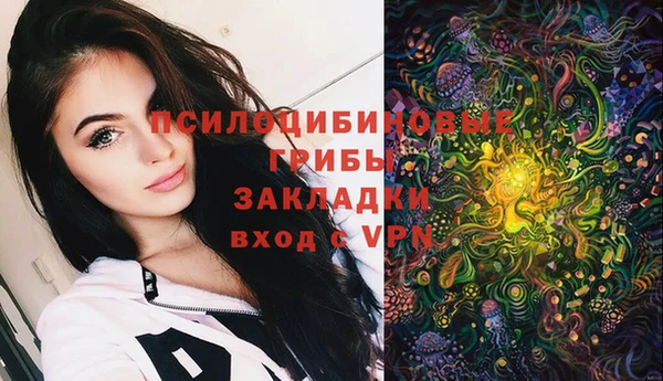 бошки Алексеевка