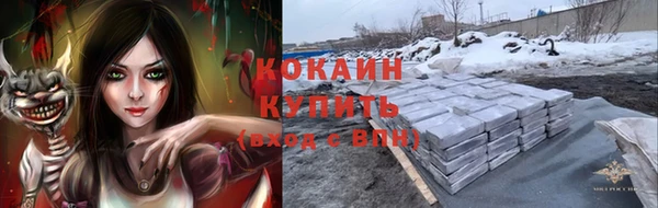 сатива Алексин
